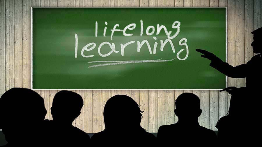  Adult education, lifelong learning and competences approaches (4th ed.)