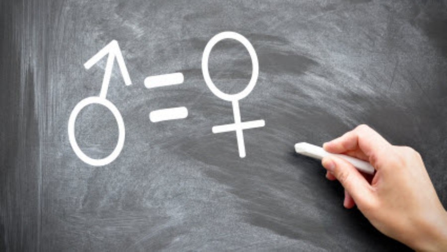 Linguaggio, identità di genere e lingua italiana (13a ed.)